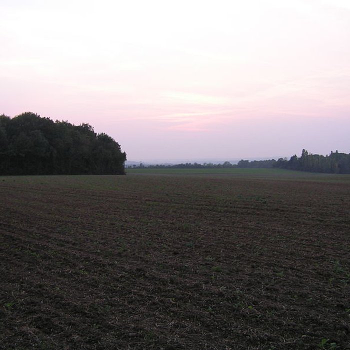Photo de Camp des Louvières de Vitry-en-Perthois