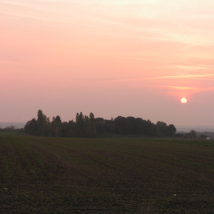 Photo de Camp des Louvières de Vitry-en-Perthois