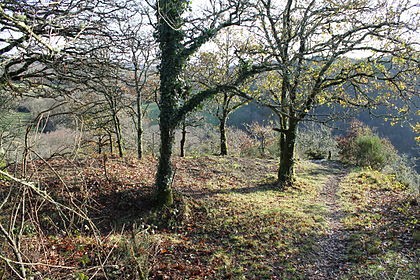 Photo de Camp protohistorique de Kastel-Ker-Nevé
