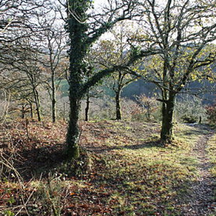 Photo de Camp protohistorique de Kastel-Ker-Nevé