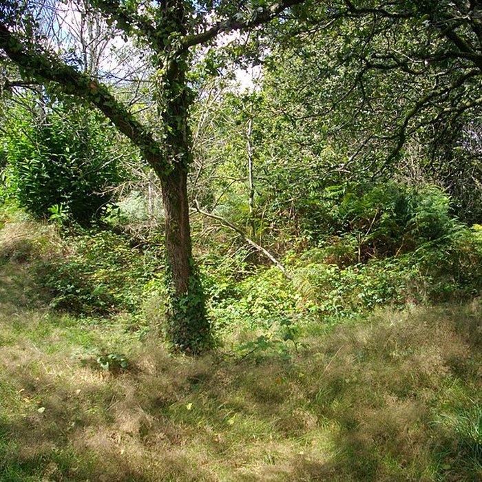 Photo de Camp protohistorique de Kastel-Ker-Nevé