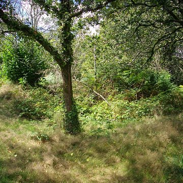 Camp protohistorique de Kastel-Ker-Nevé