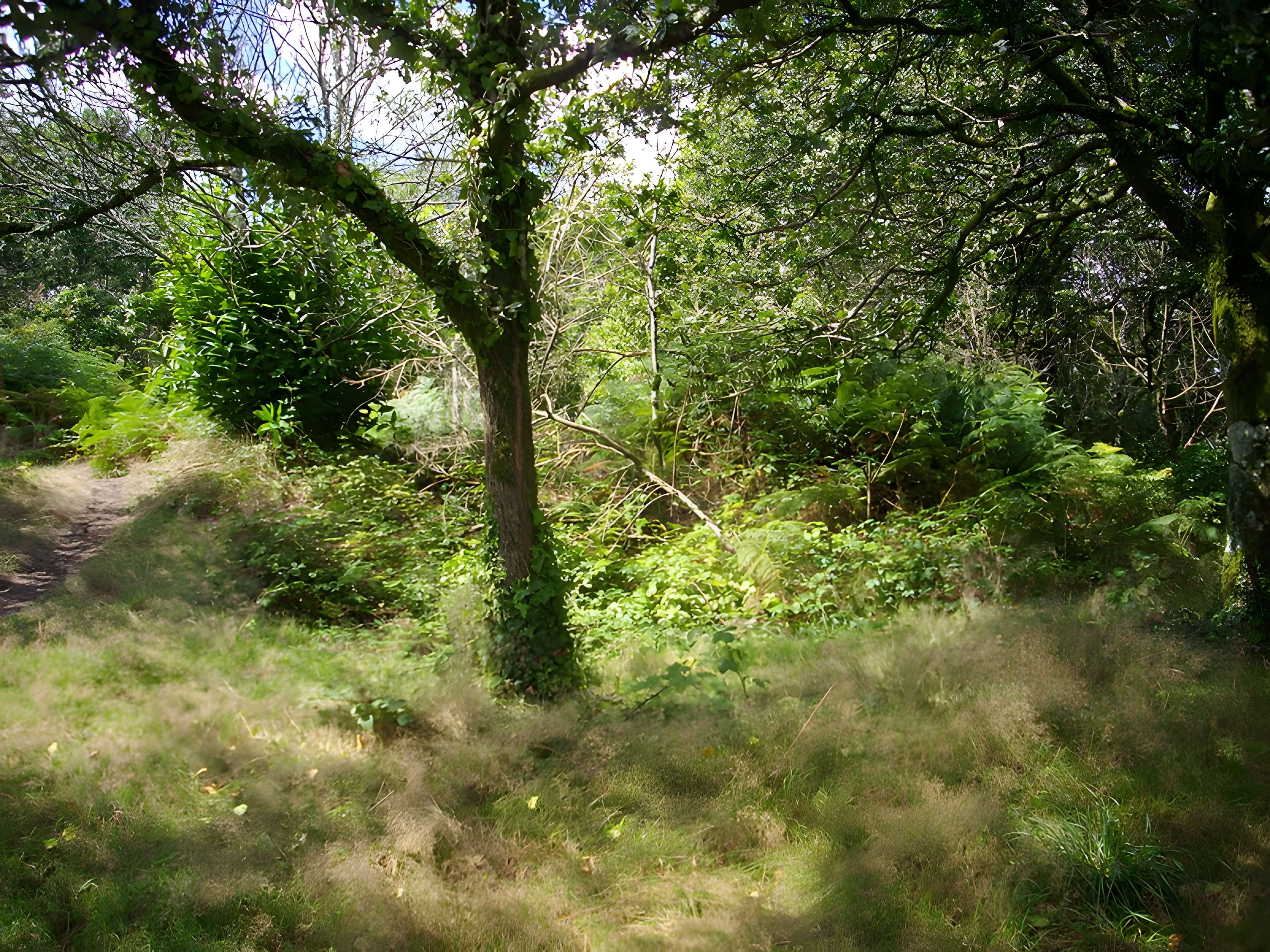 Camp protohistorique de Kastel-Ker-Nevé