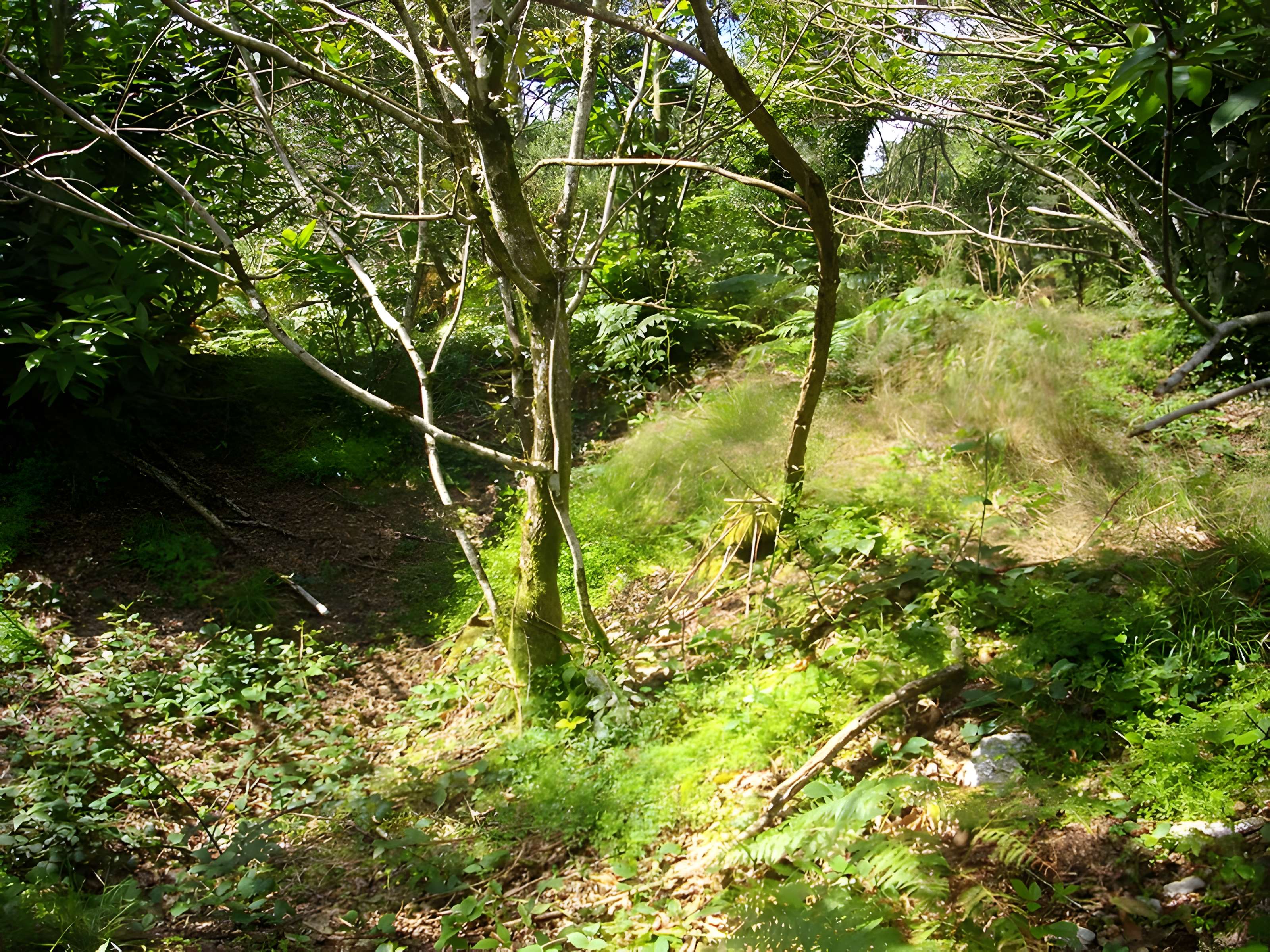 Camp protohistorique de Kastel-Ker-Nevé