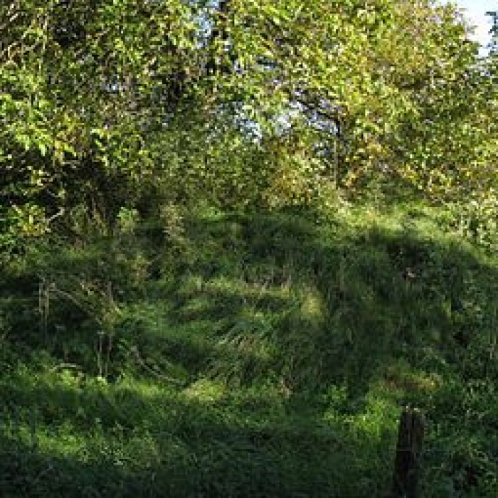 Photo de Camp romain de Champallement