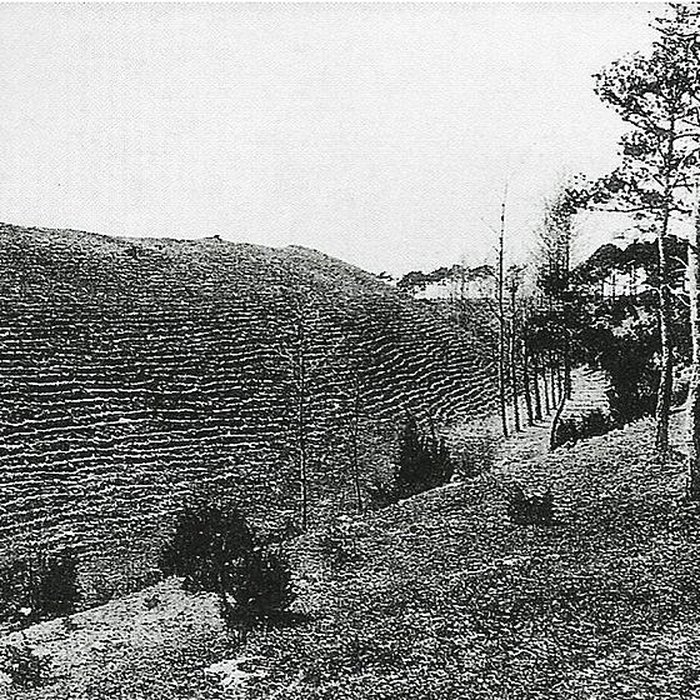 Photo de Camp romain de La Cheppe