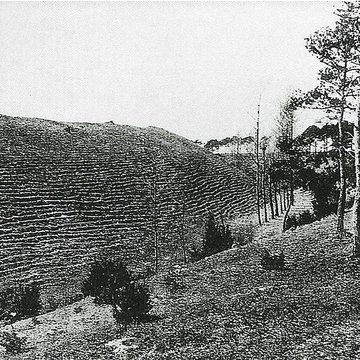 Camp romain de La Cheppe