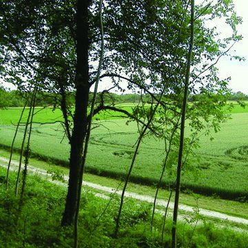 Camp romain de La Cheppe