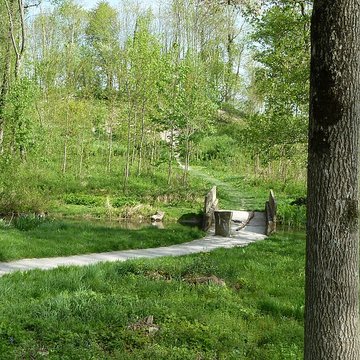Camp romain de La Cheppe