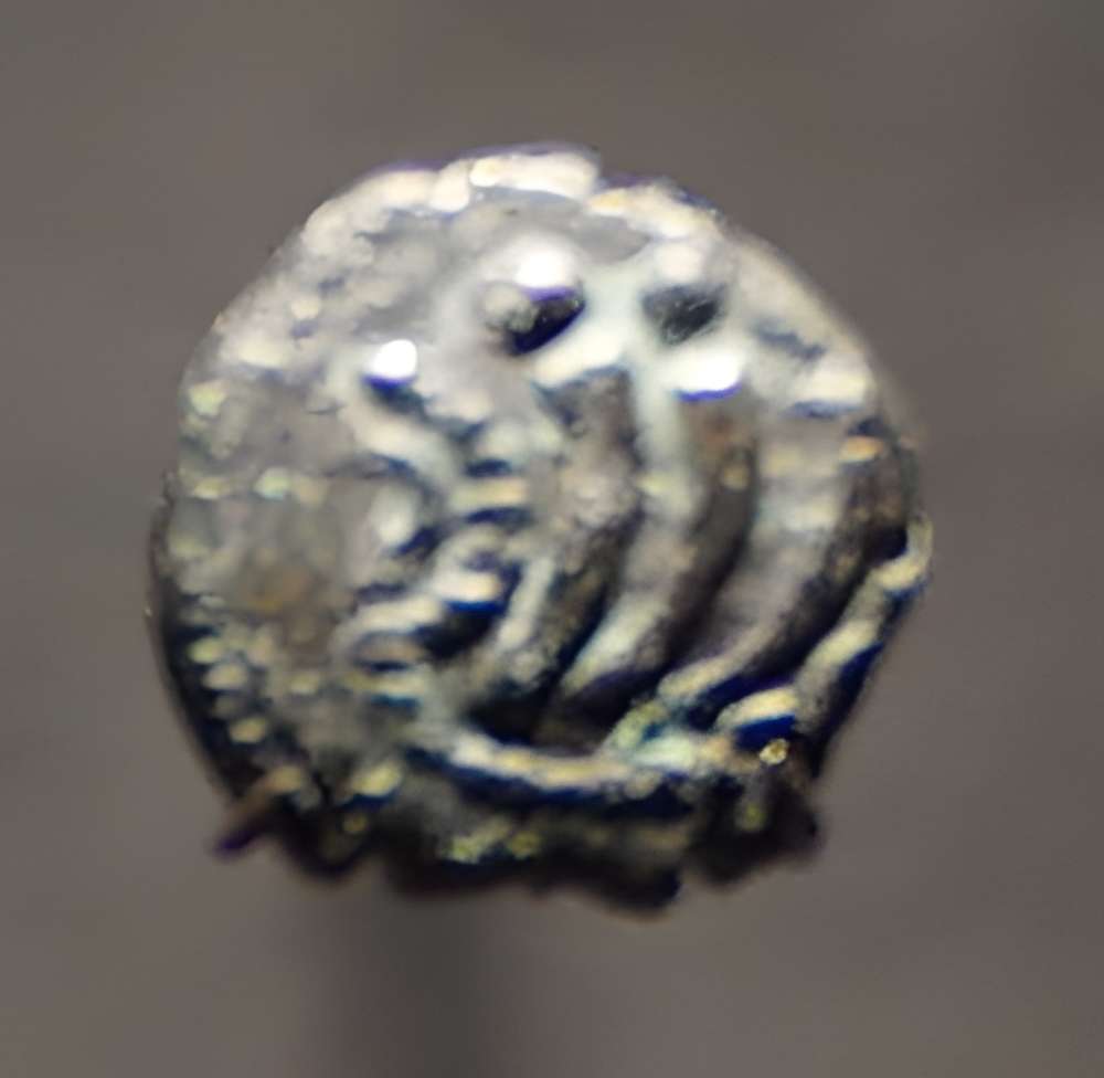 Camp romain de La Cheppe