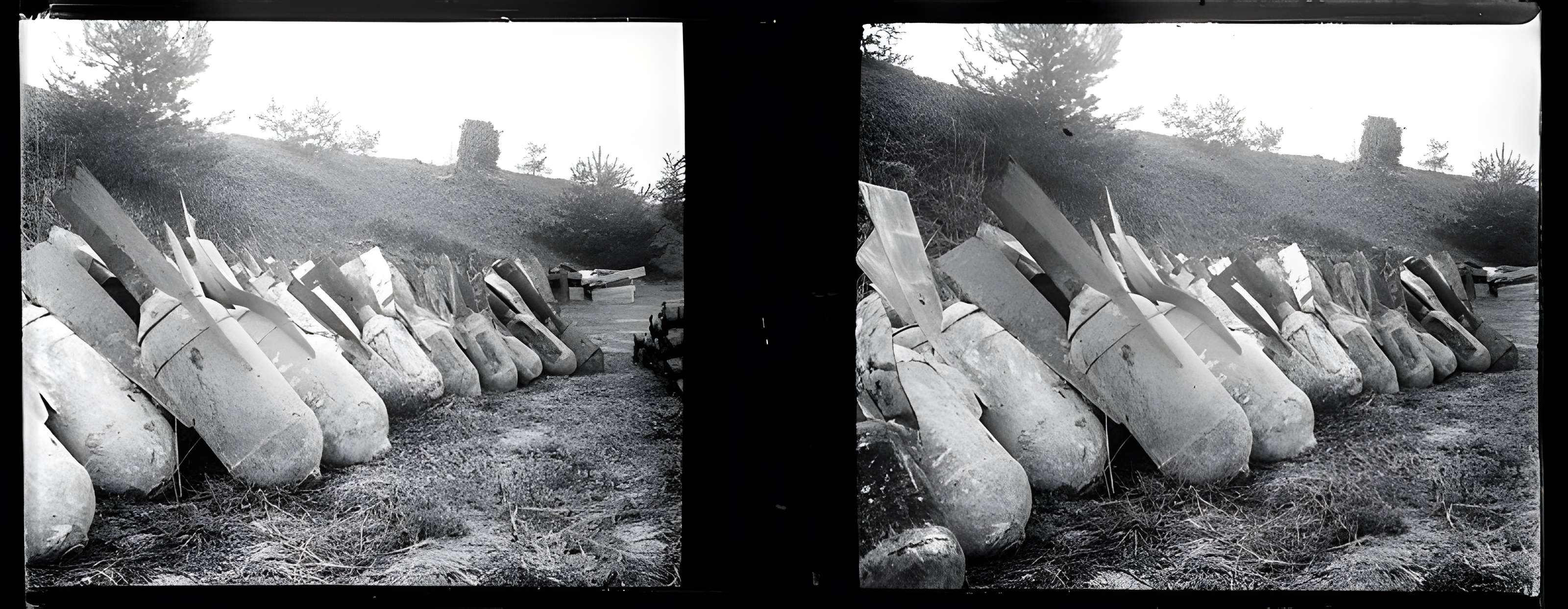 Camp romain de La Cheppe