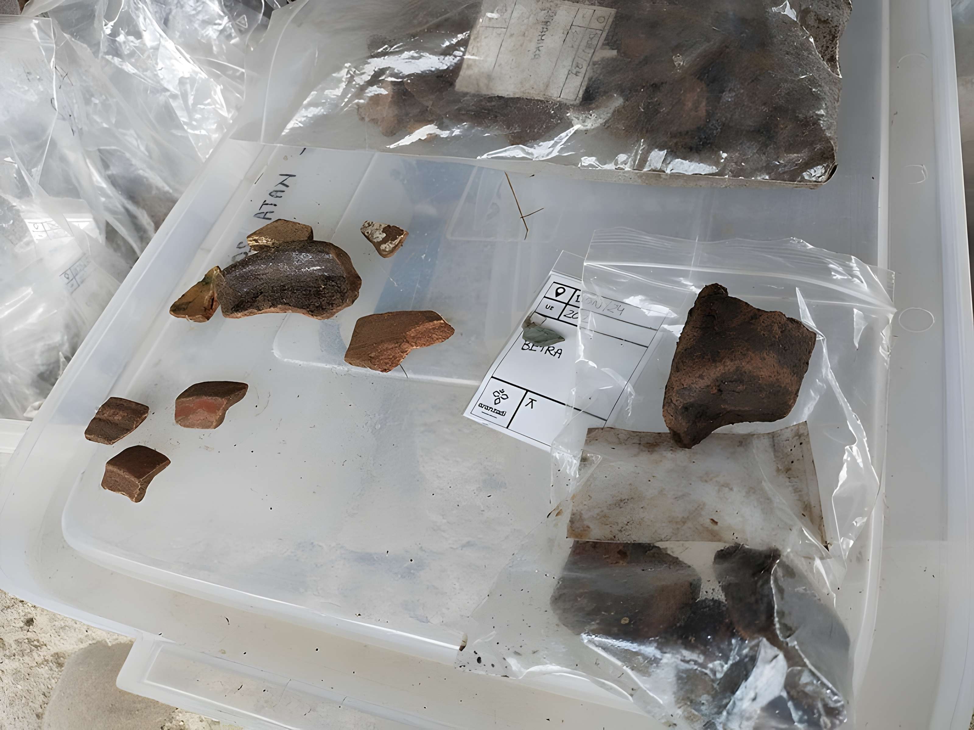 Camp romain et vicus routier à Saint-Jean-le-Vieux