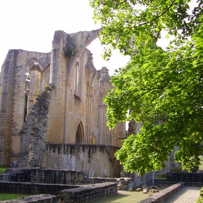Photo de Abbaye du Lys