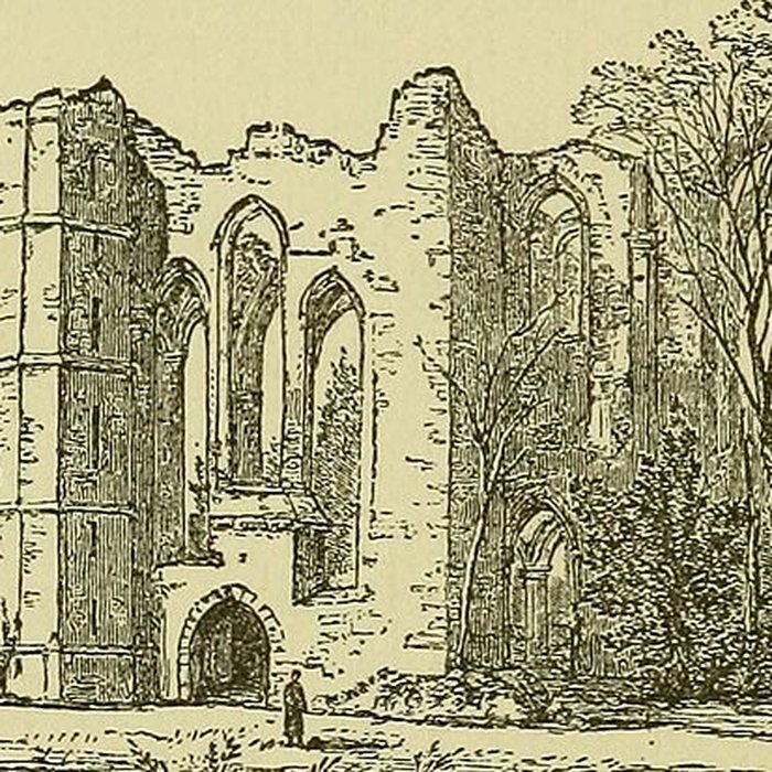 Photo de Abbaye du Lys