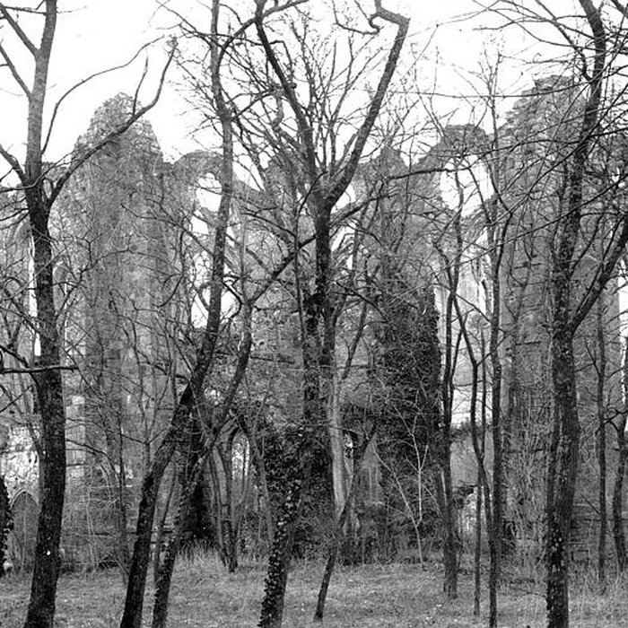 Photo de Abbaye du Lys