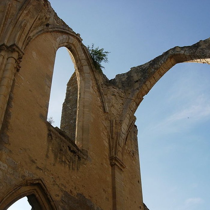 Photo de Abbaye du Lys