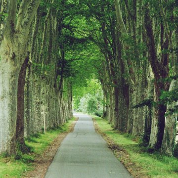 Canal du Midi : Écluse quadruple Saint-Roch