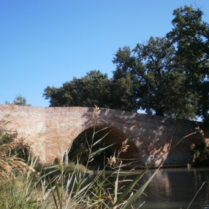 Photo de Canal du Midi : Pont dEn Serny