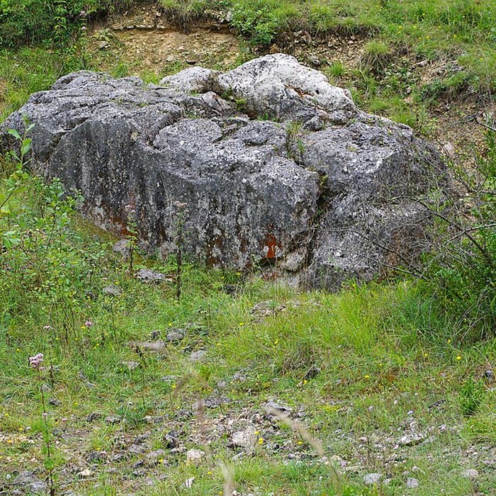 Photo de Carrières de la Lie à La Roche-Vineuse