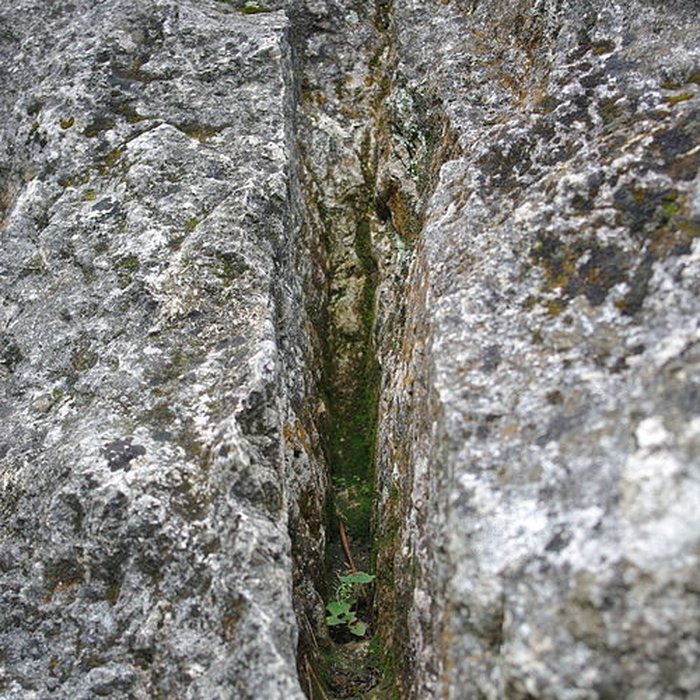 Photo de Carrières de la Lie à La Roche-Vineuse