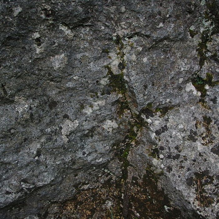 Photo de Carrières de la Lie à La Roche-Vineuse