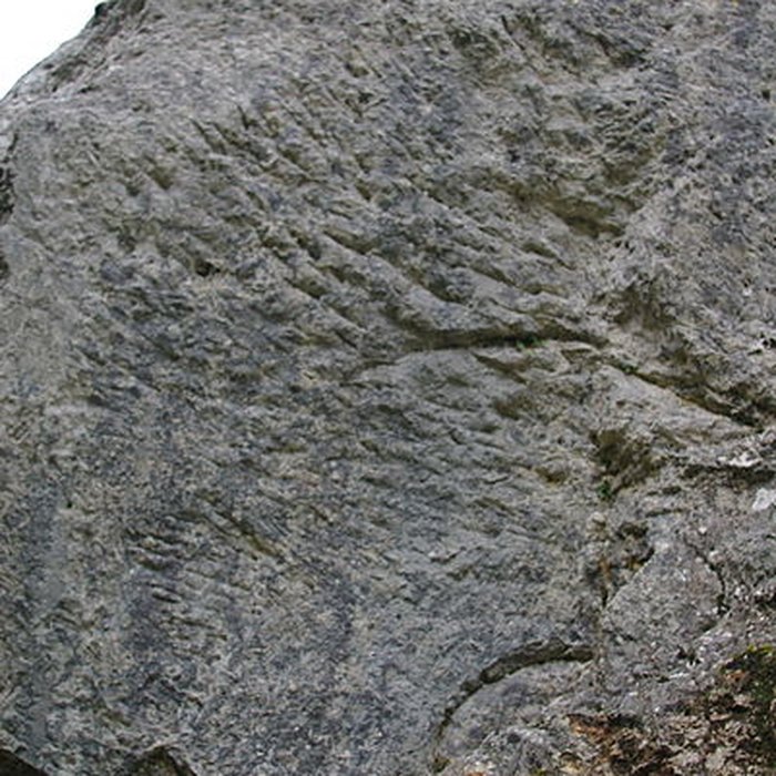 Photo de Carrières de la Lie à La Roche-Vineuse