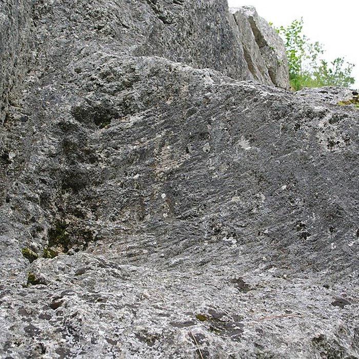 Photo de Carrières de la Lie à La Roche-Vineuse