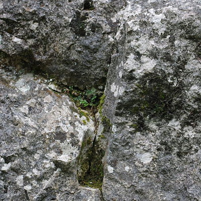 Photo de Carrières de la Lie à La Roche-Vineuse