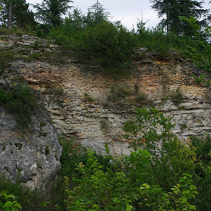 Photo de Carrières de la Lie à La Roche-Vineuse