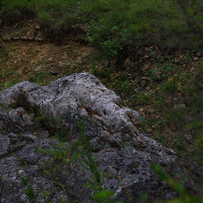 Photo de Carrières de la Lie à La Roche-Vineuse