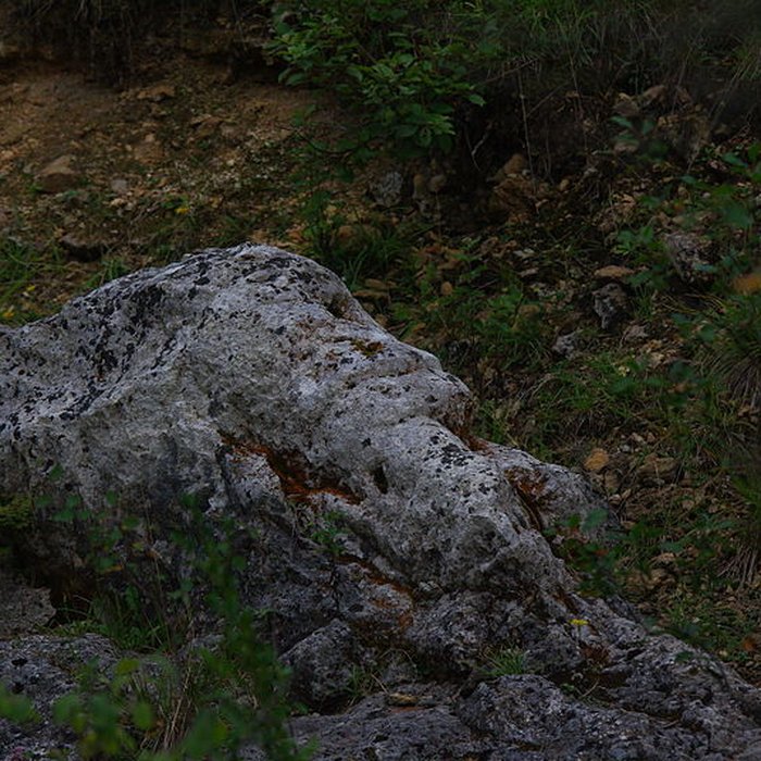 Photo de Carrières de la Lie à La Roche-Vineuse