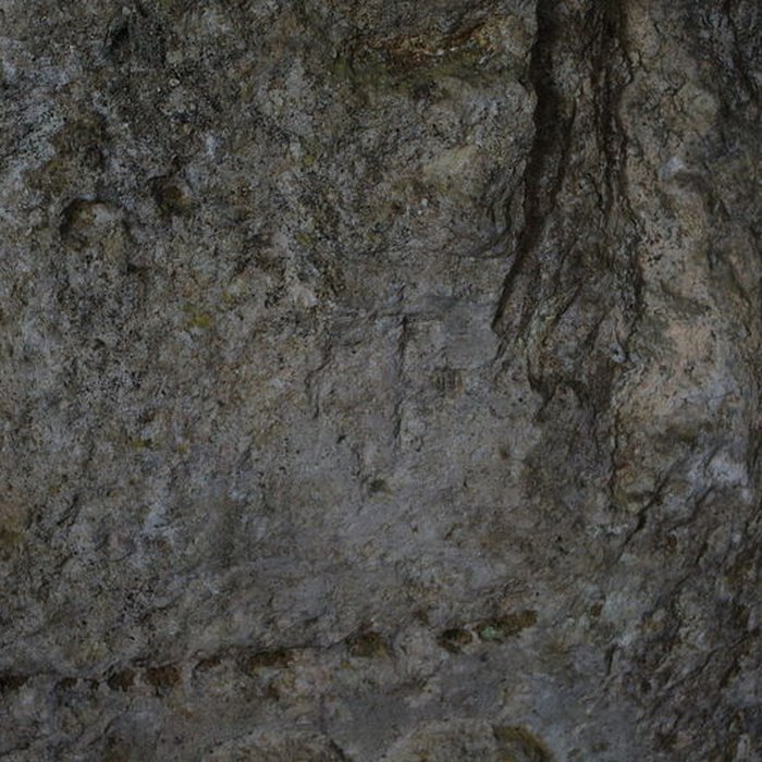 Photo de Carrières de la Lie à La Roche-Vineuse
