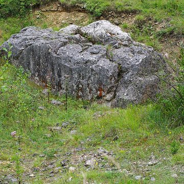 Carrières de la Lie à La Roche-Vineuse