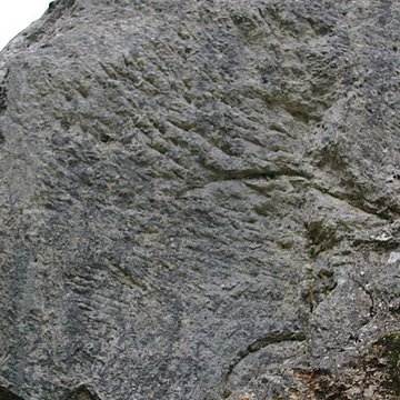 Carrières de la Lie à La Roche-Vineuse