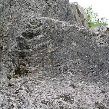 Carrières de la Lie à La Roche-Vineuse