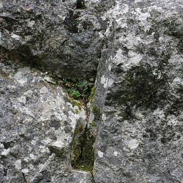 Carrières de la Lie à La Roche-Vineuse