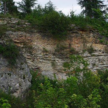 Carrières de la Lie à La Roche-Vineuse