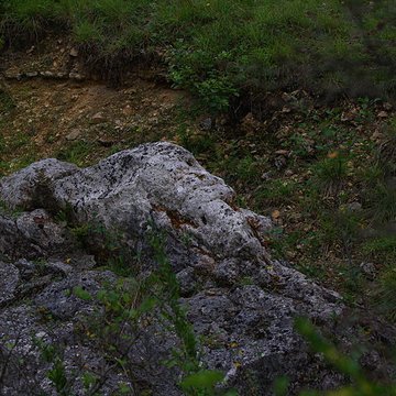 Carrières de la Lie à La Roche-Vineuse