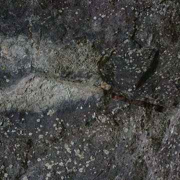 Carrières de la Lie à La Roche-Vineuse