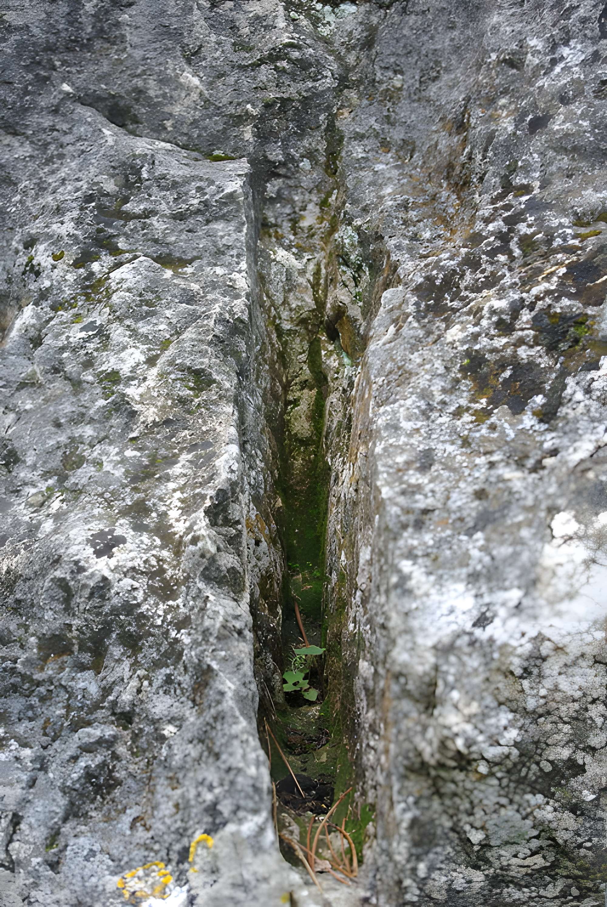 Carrières de la Lie à La Roche-Vineuse