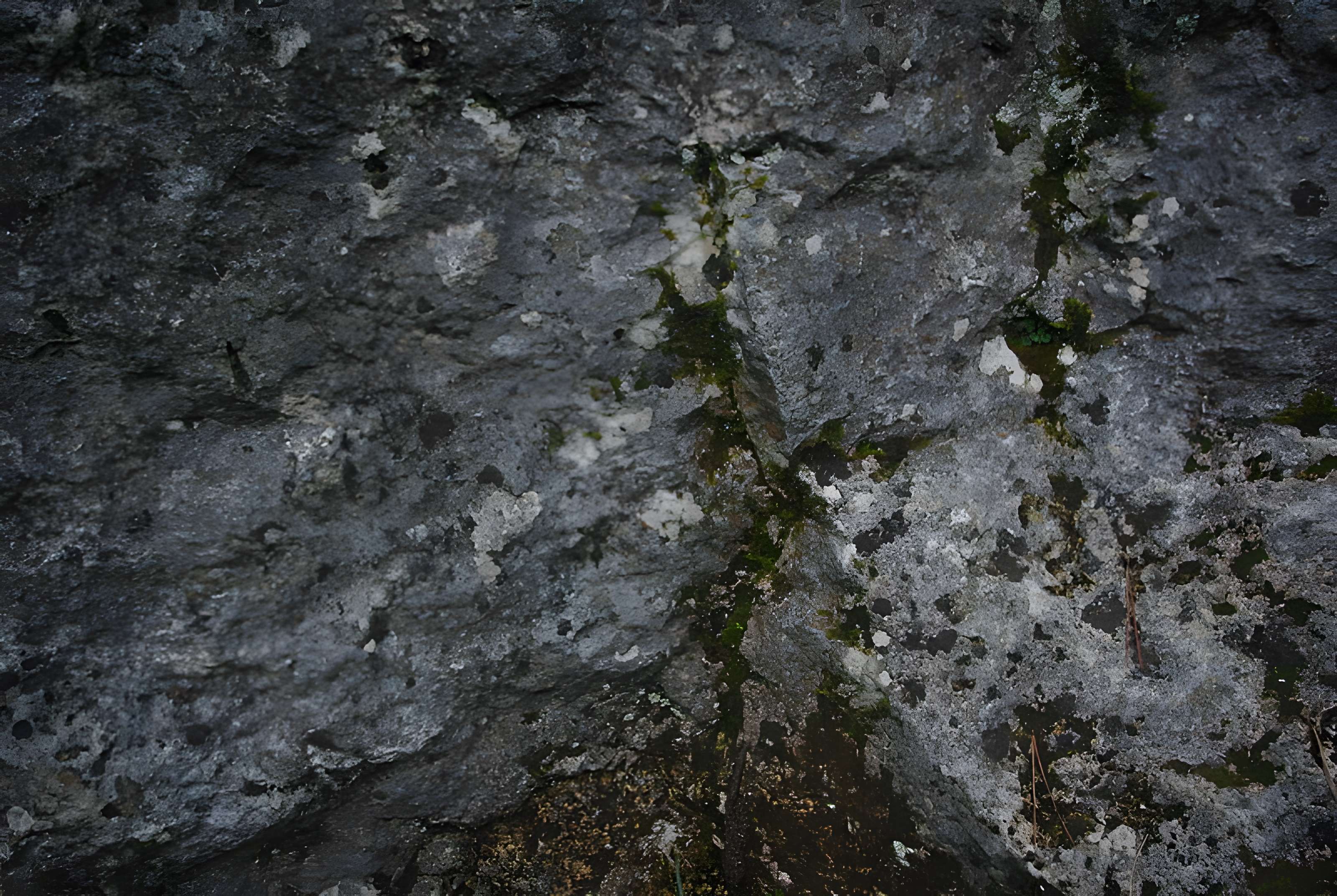 Carrières de la Lie à La Roche-Vineuse