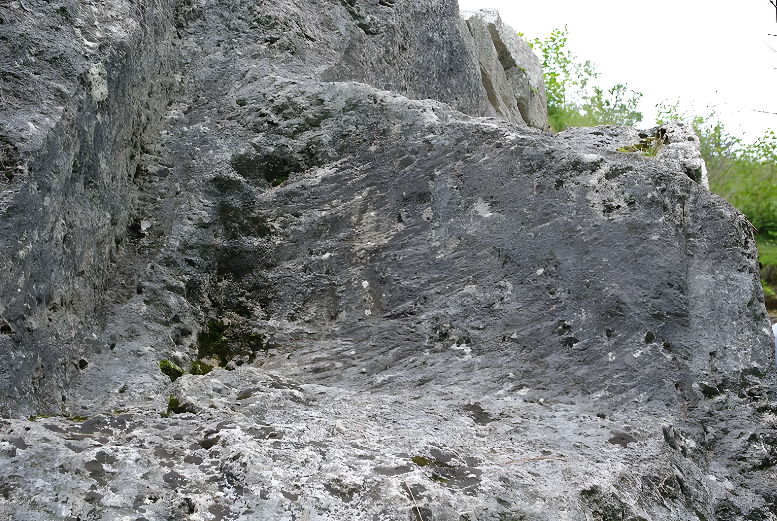 Carrières de la Lie à La Roche-Vineuse