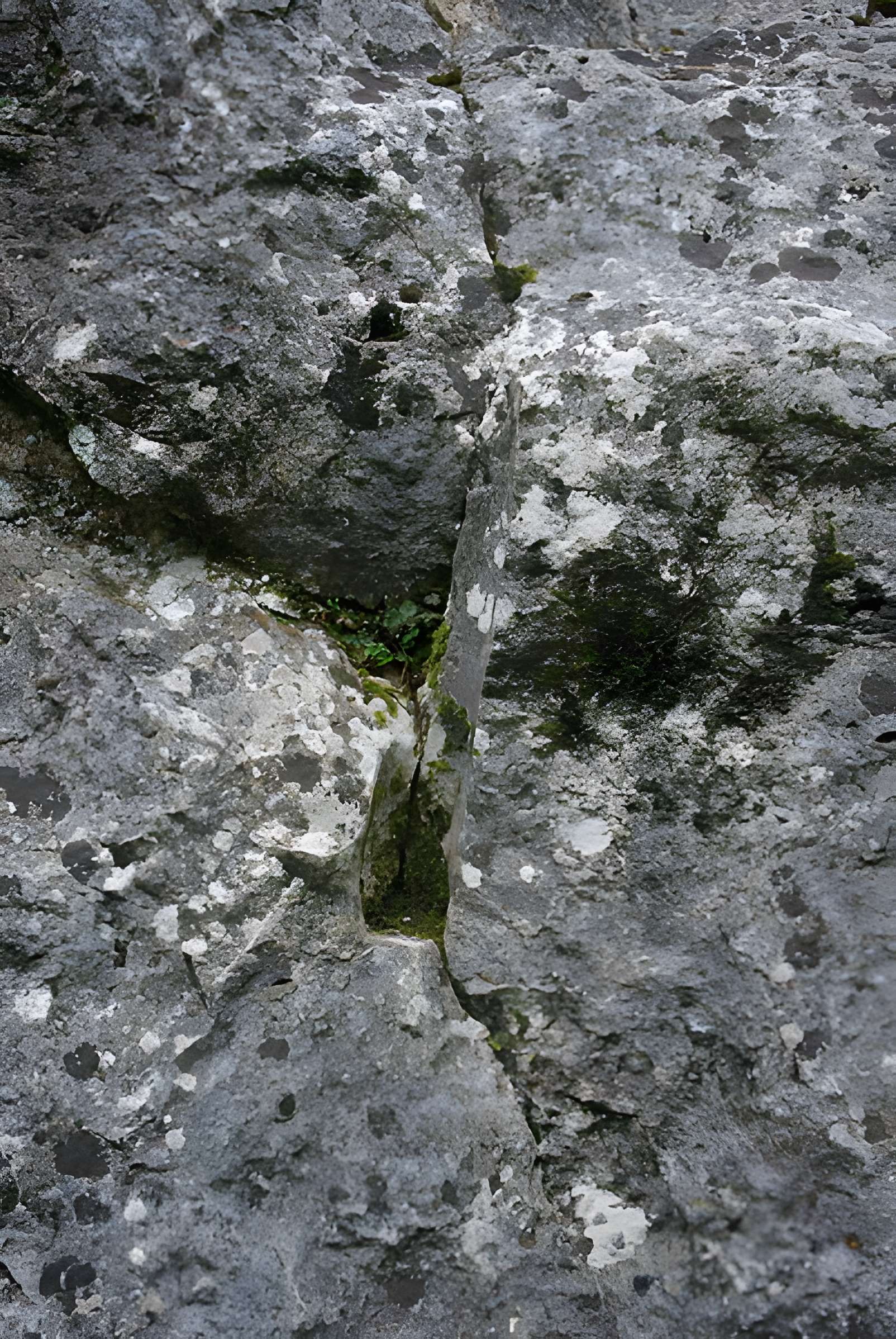Carrières de la Lie à La Roche-Vineuse