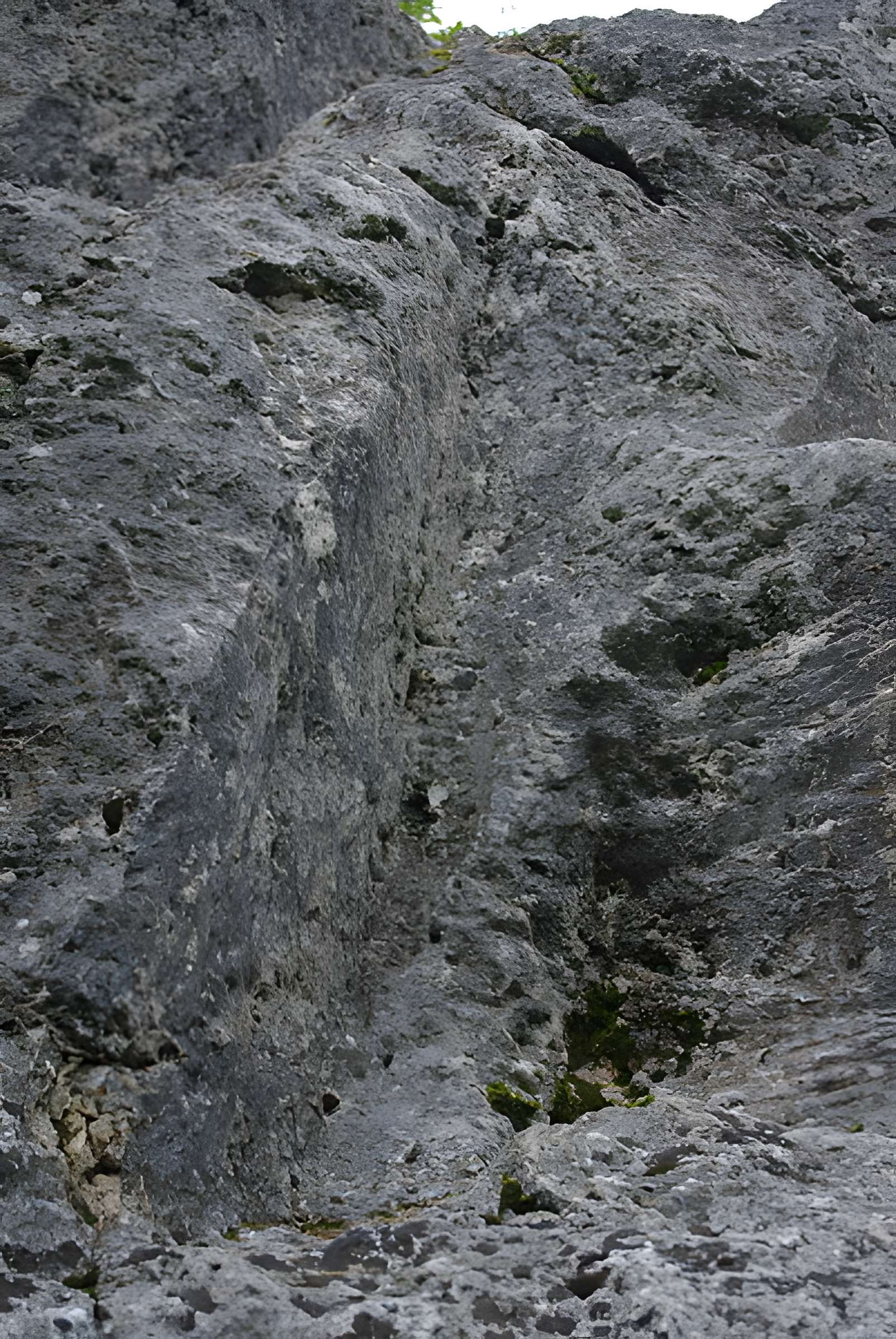 Carrières de la Lie à La Roche-Vineuse