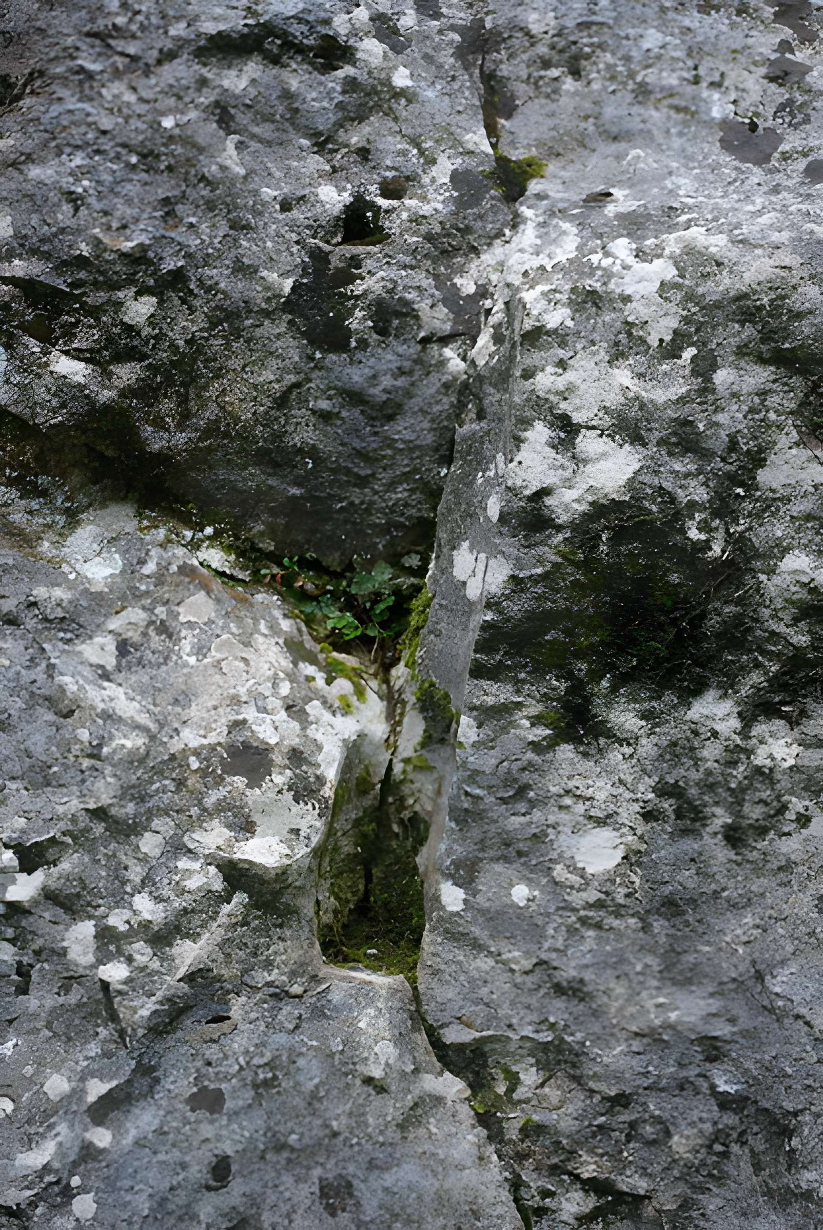 Carrières de la Lie à La Roche-Vineuse