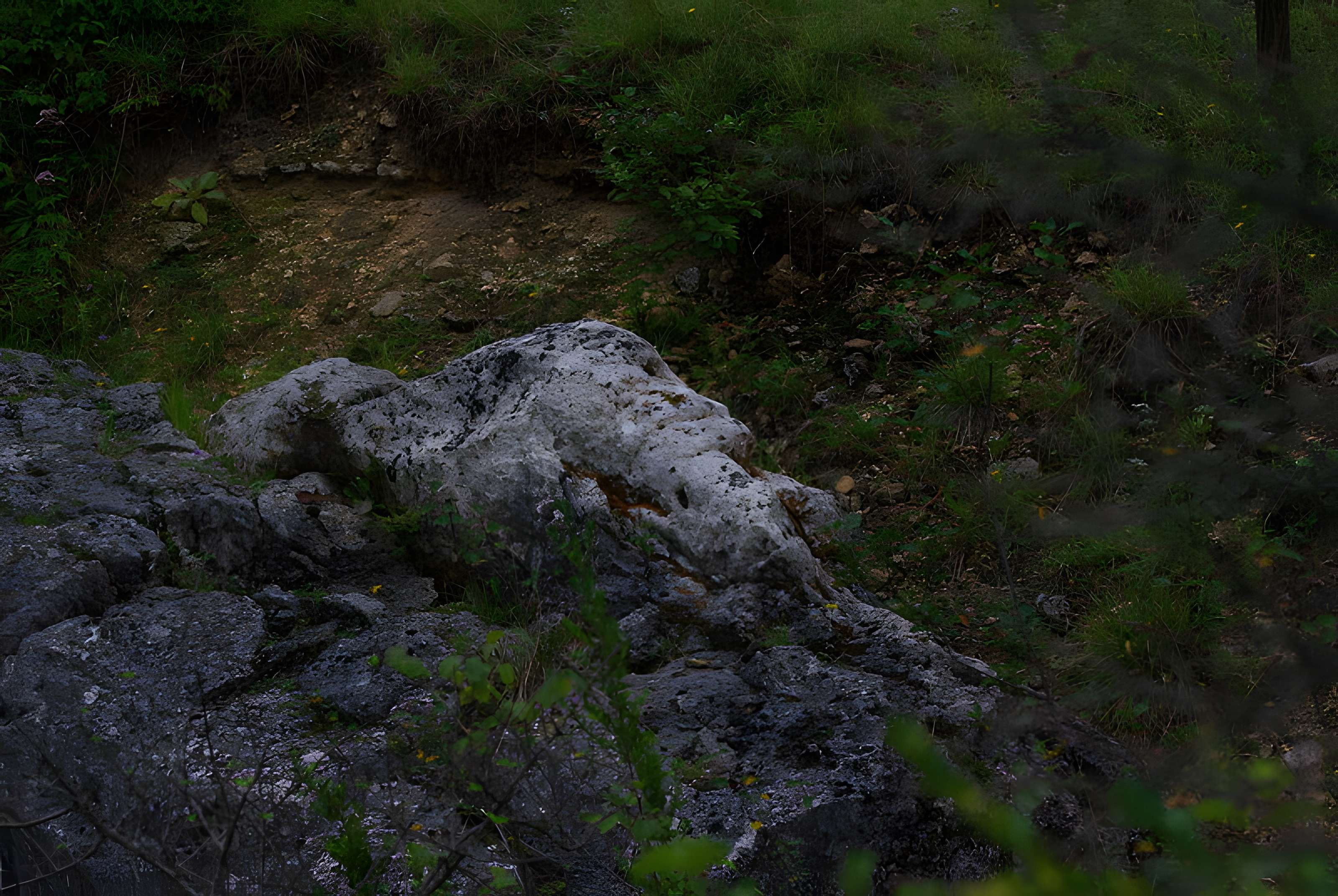 Carrières de la Lie à La Roche-Vineuse