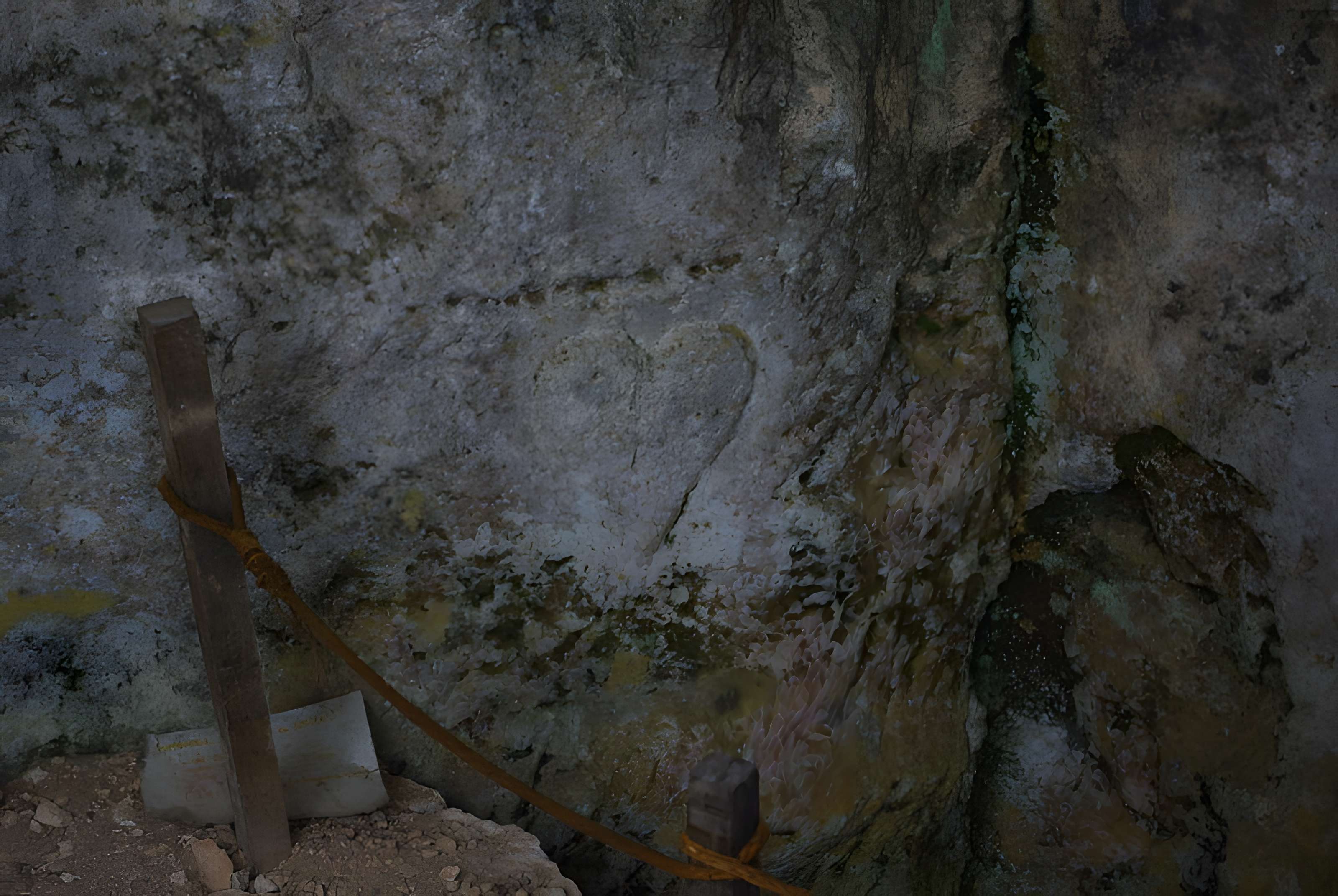 Carrières de la Lie à La Roche-Vineuse