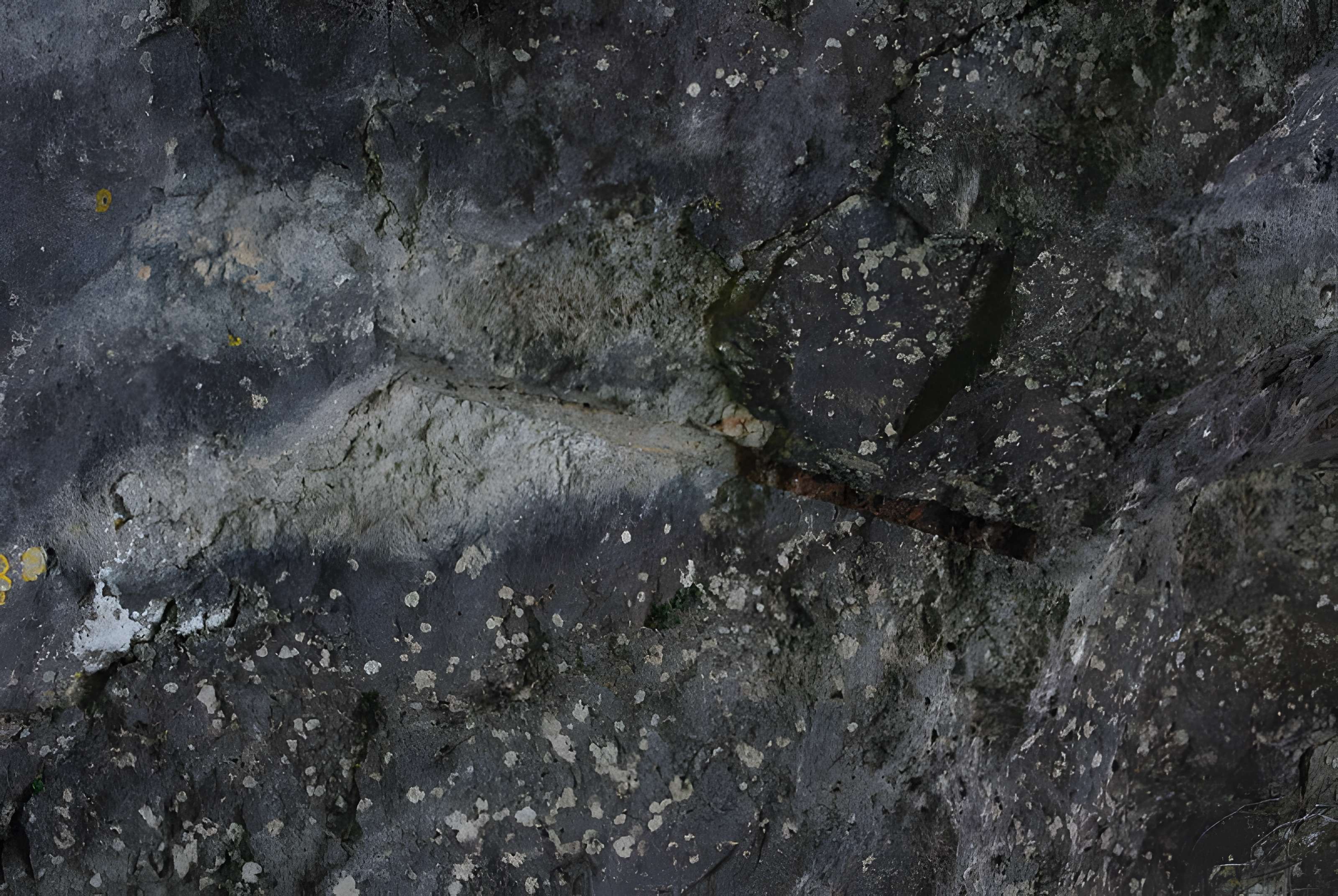 Carrières de la Lie à La Roche-Vineuse