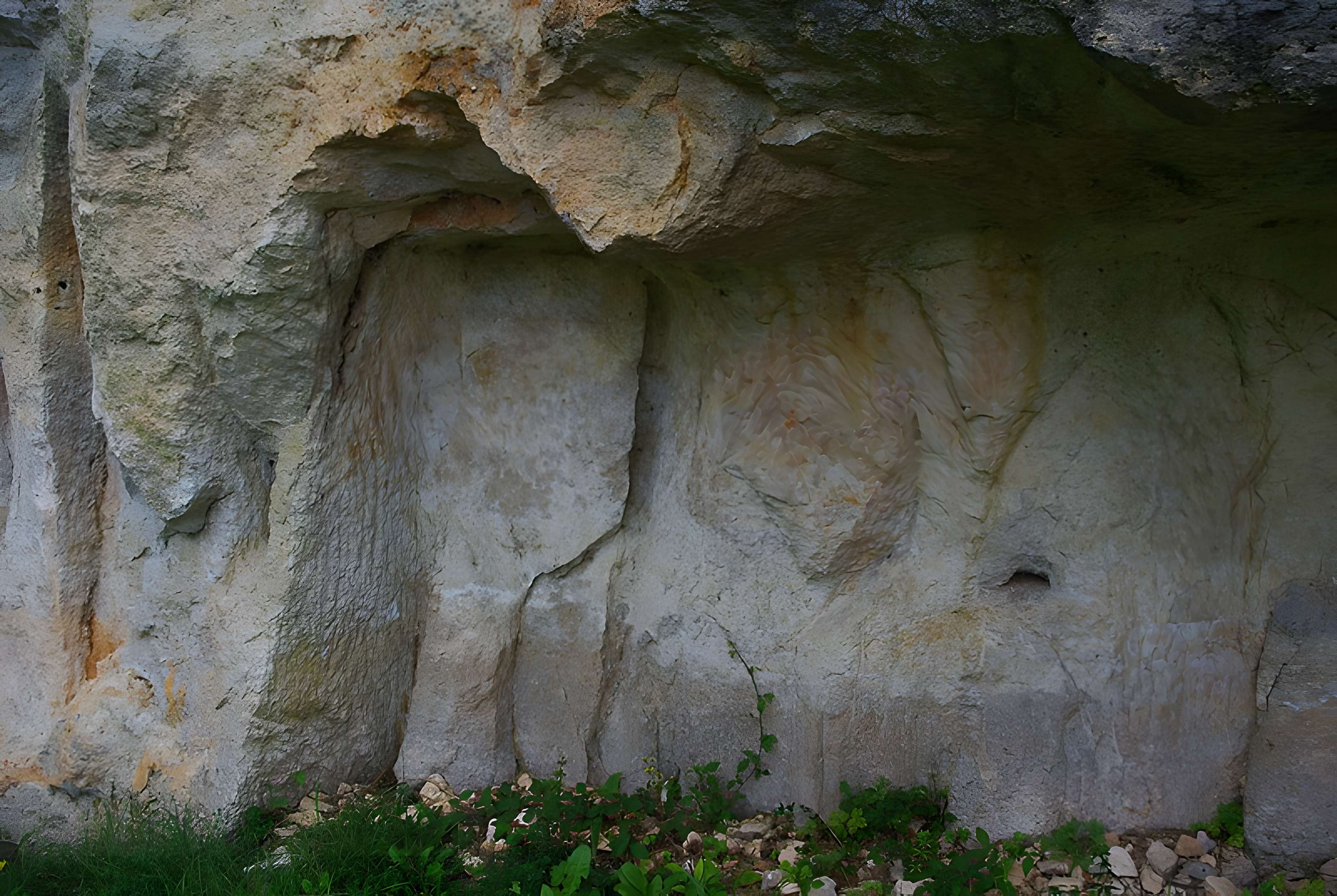 Carrières de la Lie à La Roche-Vineuse