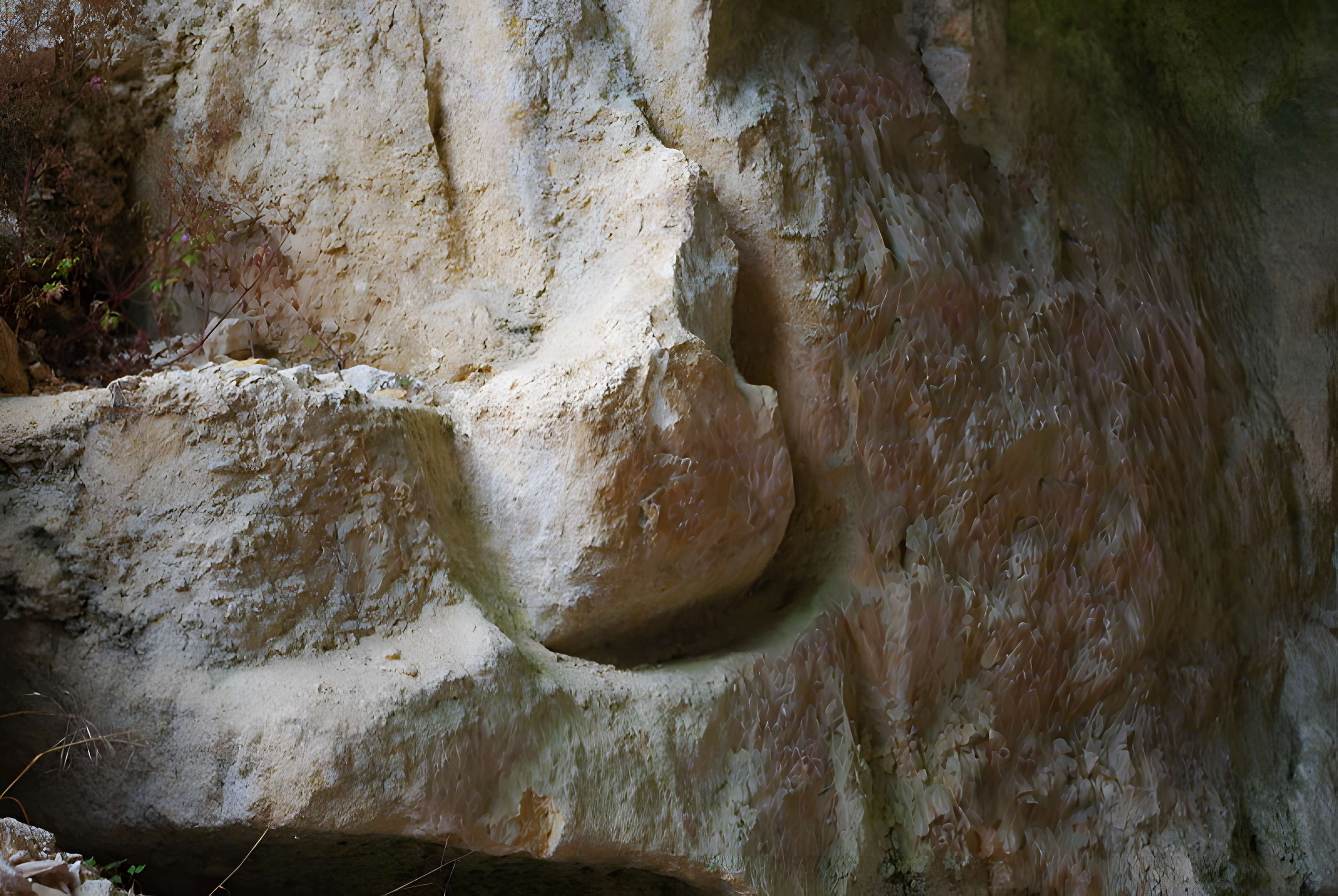 Carrières de la Lie à La Roche-Vineuse